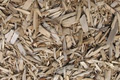 biomass boilers Lythes